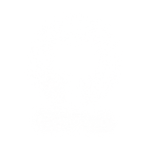 GitHub Image